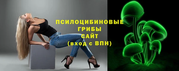 гидра Лабытнанги