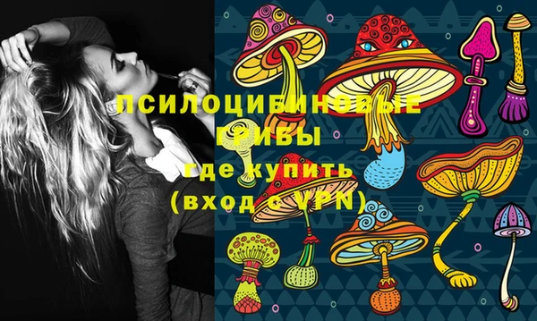 тгк Ладушкин