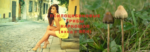 гидра Лабытнанги