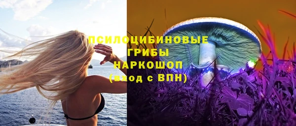 хмурый Липки