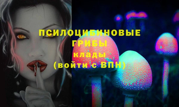 хмурый Липки