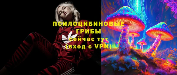 твердый Зеленокумск