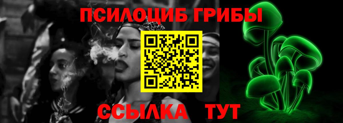 Галлюциногенные грибы Psilocybe Тихорецк